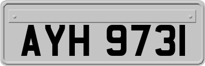 AYH9731