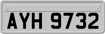 AYH9732