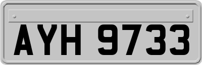 AYH9733