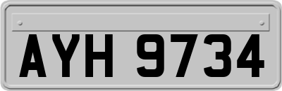 AYH9734