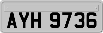 AYH9736