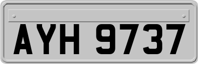 AYH9737