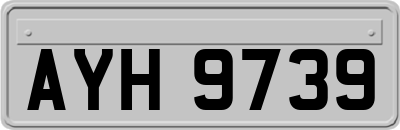 AYH9739