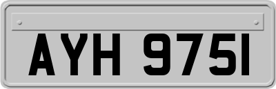 AYH9751