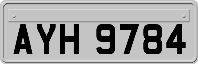 AYH9784