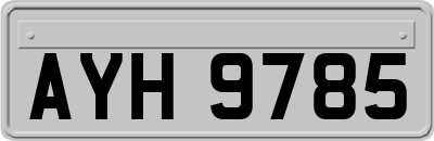 AYH9785