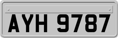 AYH9787