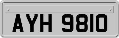 AYH9810