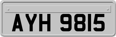 AYH9815