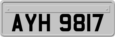 AYH9817