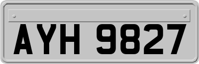 AYH9827