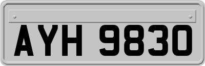 AYH9830