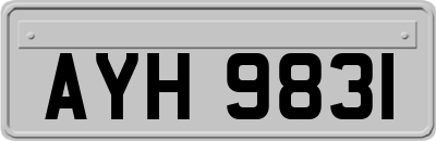 AYH9831