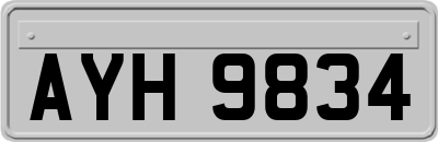 AYH9834