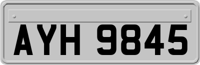 AYH9845
