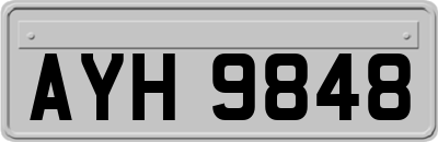 AYH9848
