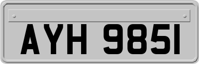 AYH9851