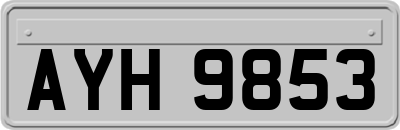 AYH9853