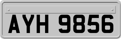 AYH9856