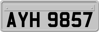 AYH9857