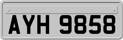 AYH9858