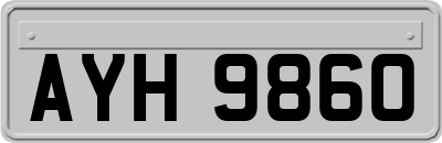 AYH9860