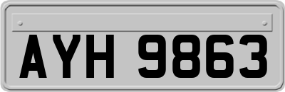 AYH9863