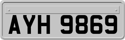 AYH9869