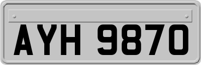 AYH9870