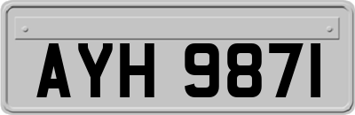 AYH9871