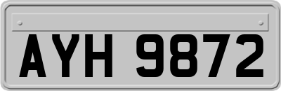 AYH9872