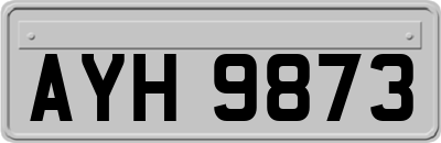 AYH9873