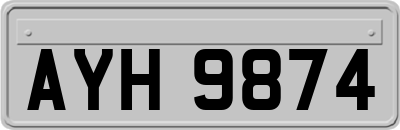 AYH9874