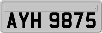 AYH9875