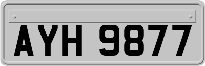 AYH9877