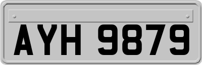 AYH9879