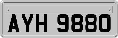 AYH9880