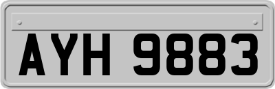 AYH9883
