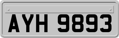 AYH9893