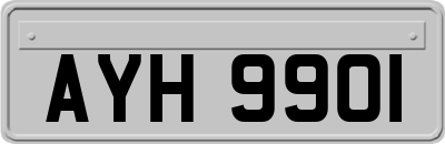 AYH9901