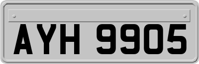 AYH9905