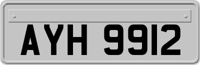 AYH9912