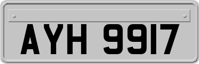 AYH9917