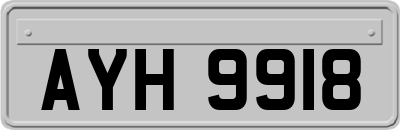 AYH9918