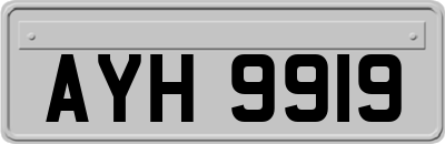 AYH9919