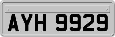 AYH9929