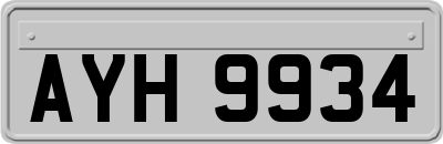 AYH9934