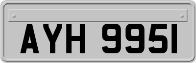 AYH9951
