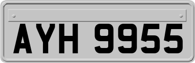 AYH9955