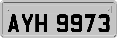 AYH9973